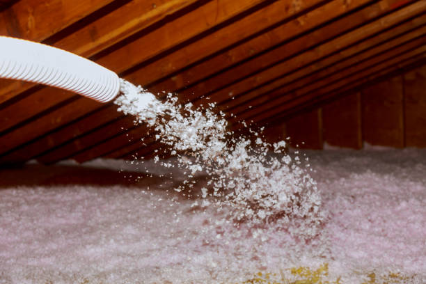 Best Spray Foam Insulation  in Grand Haven, MI