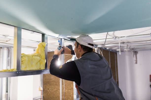 Insulation Repair Services in Grand Haven, MI