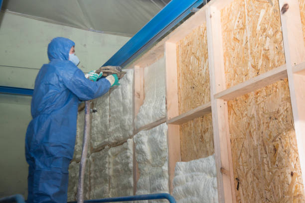 Best Insulation Inspection Services  in Grand Haven, MI