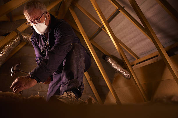Best Professional Insulation Contractor  in Grand Haven, MI