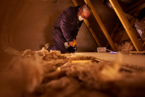 Best Wall Insulation Contractor  in Grand Haven, MI